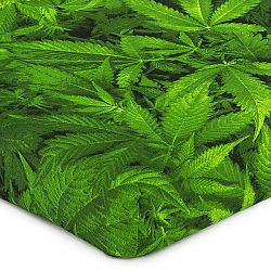 4Home Prestieradlo Aromatica, 180 x 200 cm
