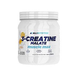 All Nutrition 3-Creatine Malate 500 g orange