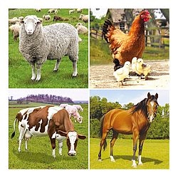 Bino Puzzle Farma, 36 dielikov