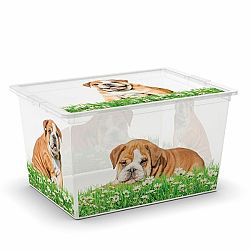 KIS C Box Puppy & Kitten XL, 50 L