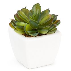 Koopman Umelý sukulent v kvetináči Mirio, 7 cm