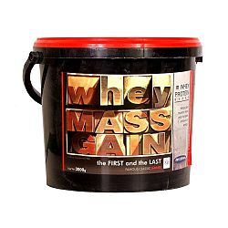 Megabol Whey Mass Gain 3000 g strawberry