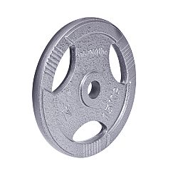 Oceľový kotúč inSPORTline Hamerton 15 kg