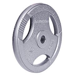 Oceľový kotúč inSPORTline Hamerton 25 kg