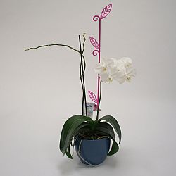 Plastia Tyčka k orchideji List fialová, 60 cm 