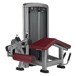 Zakopávanie Life Fitness Insignia Leg Curl