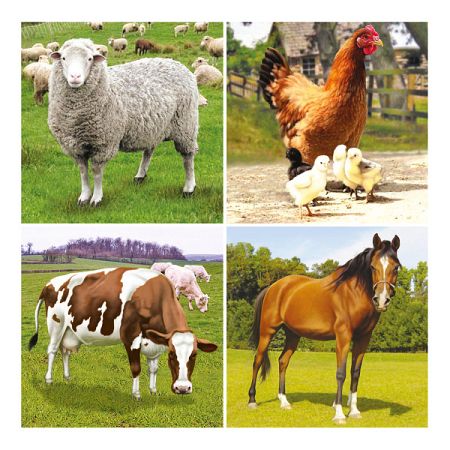 Bino Puzzle Farma, 36 dielikov