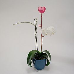 Tyčka k orchideji srdce, červená, 2 ks, Plastia