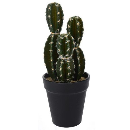 Koopman Umelý kaktus Albany, 10 cm